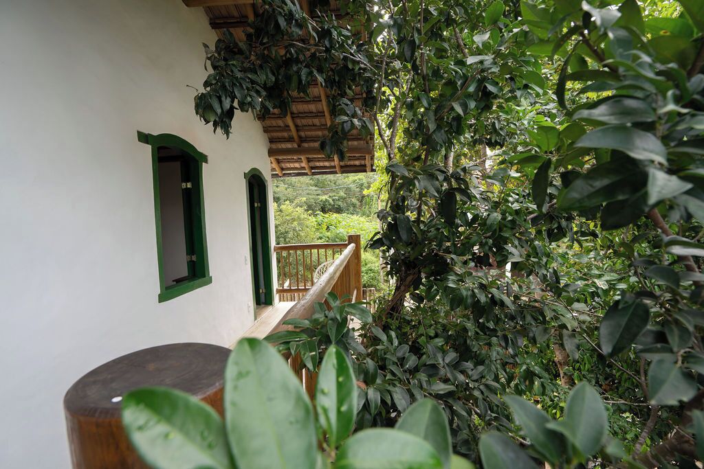 A covered porch with a wooden railing, surrounded by lush greenery.