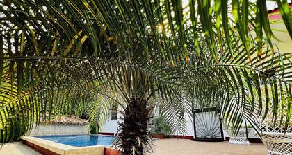 Central City “Haven” Private Flat & Pool