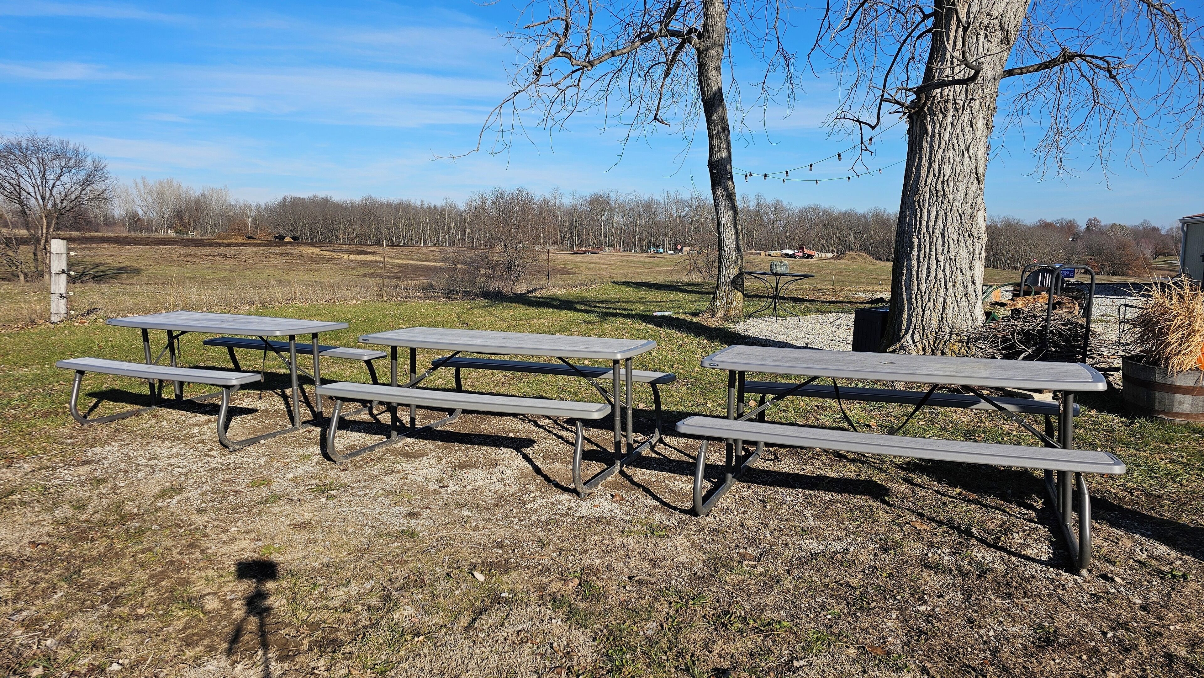 A picnic area with metal tables and benches, surrounded by trees and a clear sky.