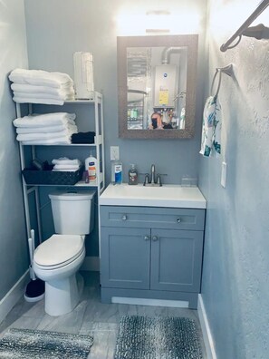 Shower, hair dryer, towels, soap - New + Loft + Unique near Big Goose Creek (Sheridan)