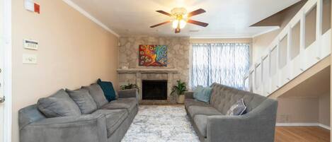 TV, fireplace, books