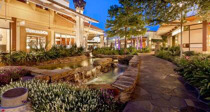 Urban Oasis: In the Medical Center