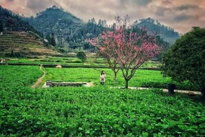 Miscellaneous - Guanjinglou Inn (Yi County)