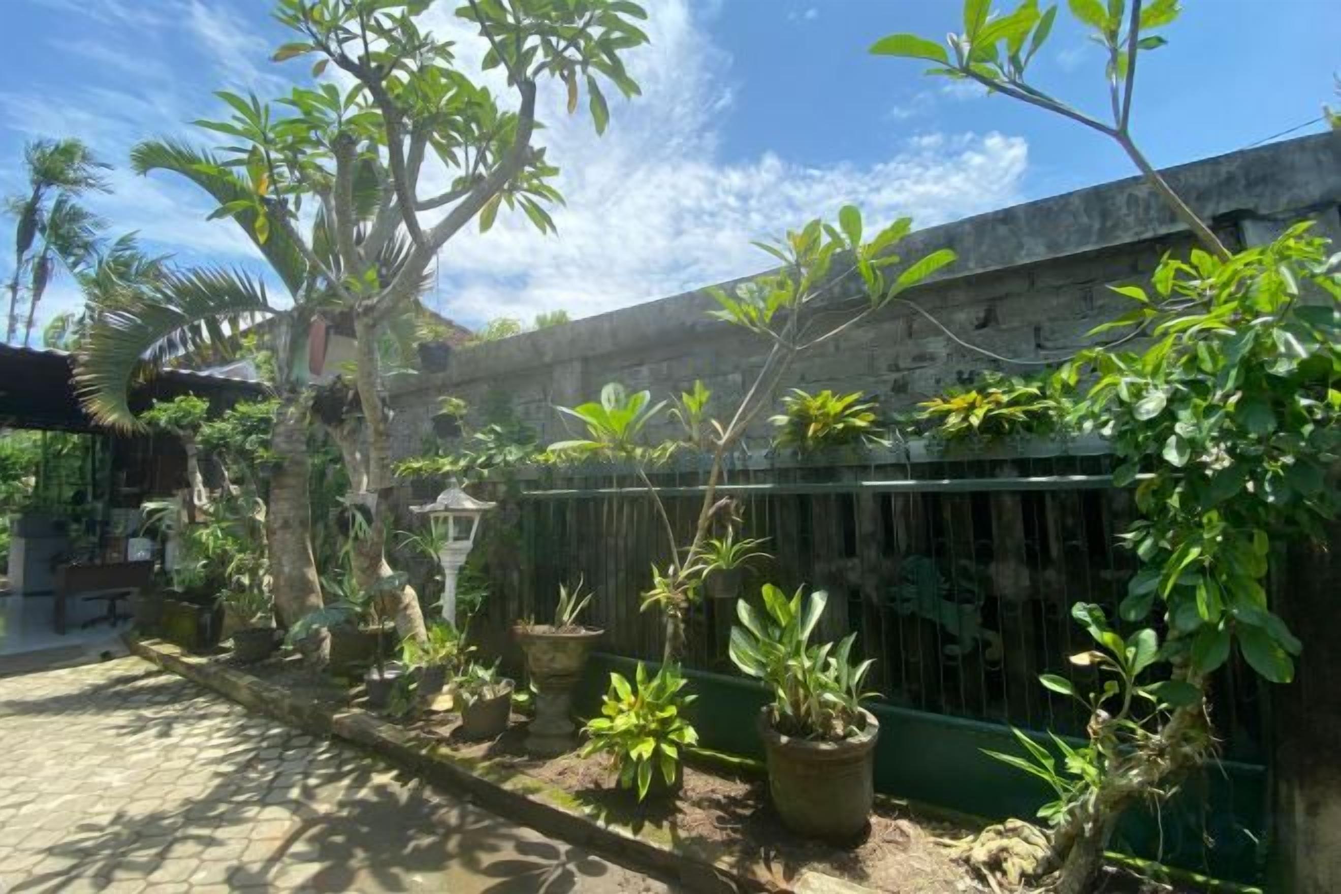 Un patio con plantas en macetas y una valla verde.