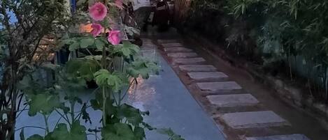A pathway with stepping stones leading through a garden with flowering plants.