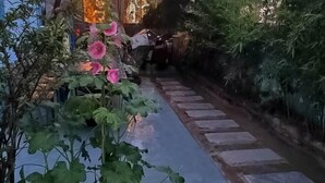 Un estrecho sendero de piedra bordeado por exuberante vegetación y plantas en flor.