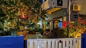 Jardín