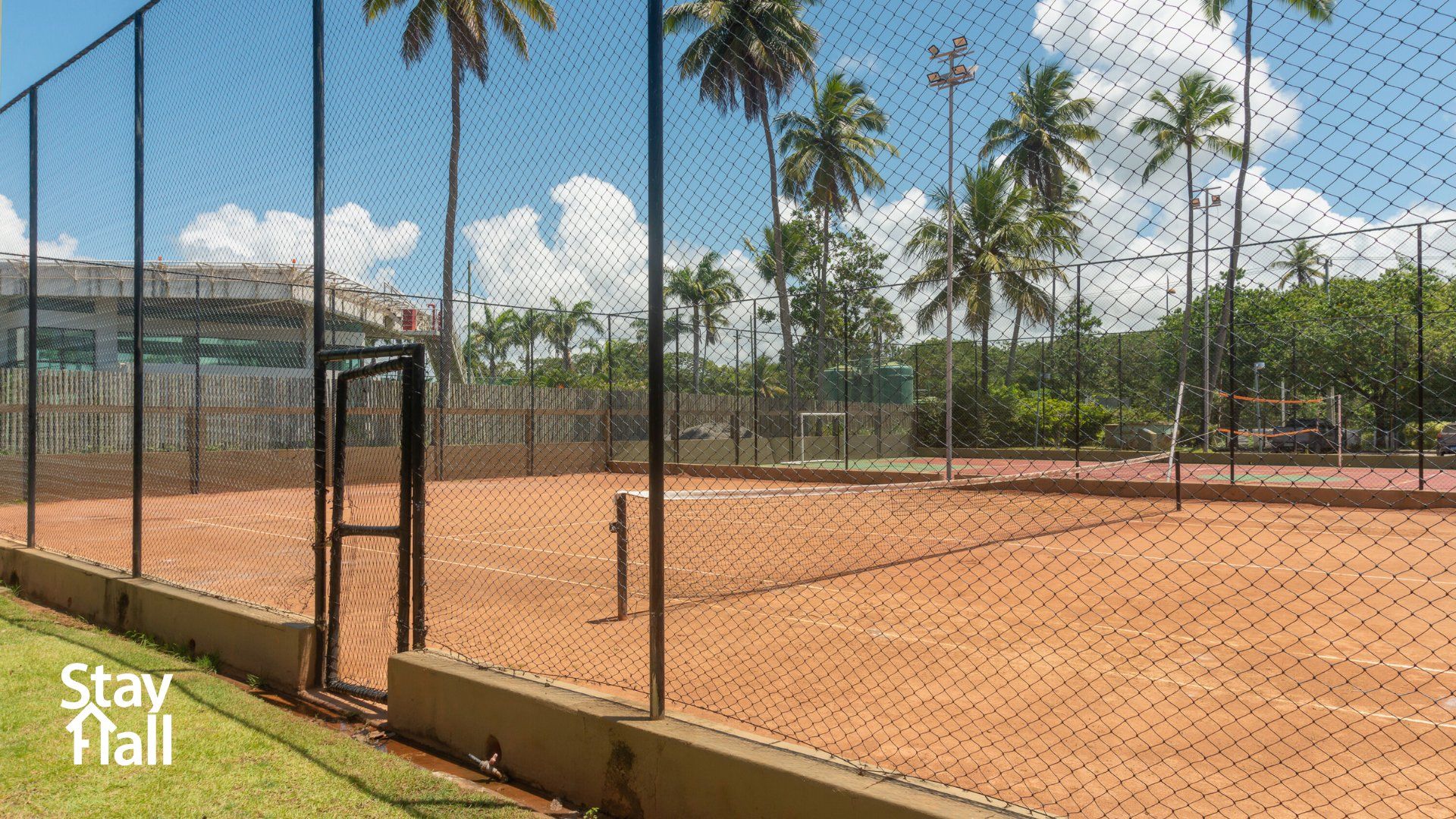 Een tennisbaan met een hek van gaas, palmbomen en een heldere lucht.