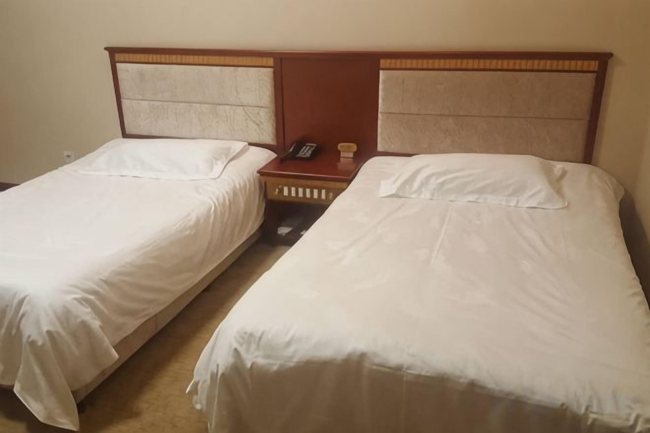 Deux lits simples avec des têtes de lit en bois, une table de chevet avec un téléphone et une prise électrique murale.
