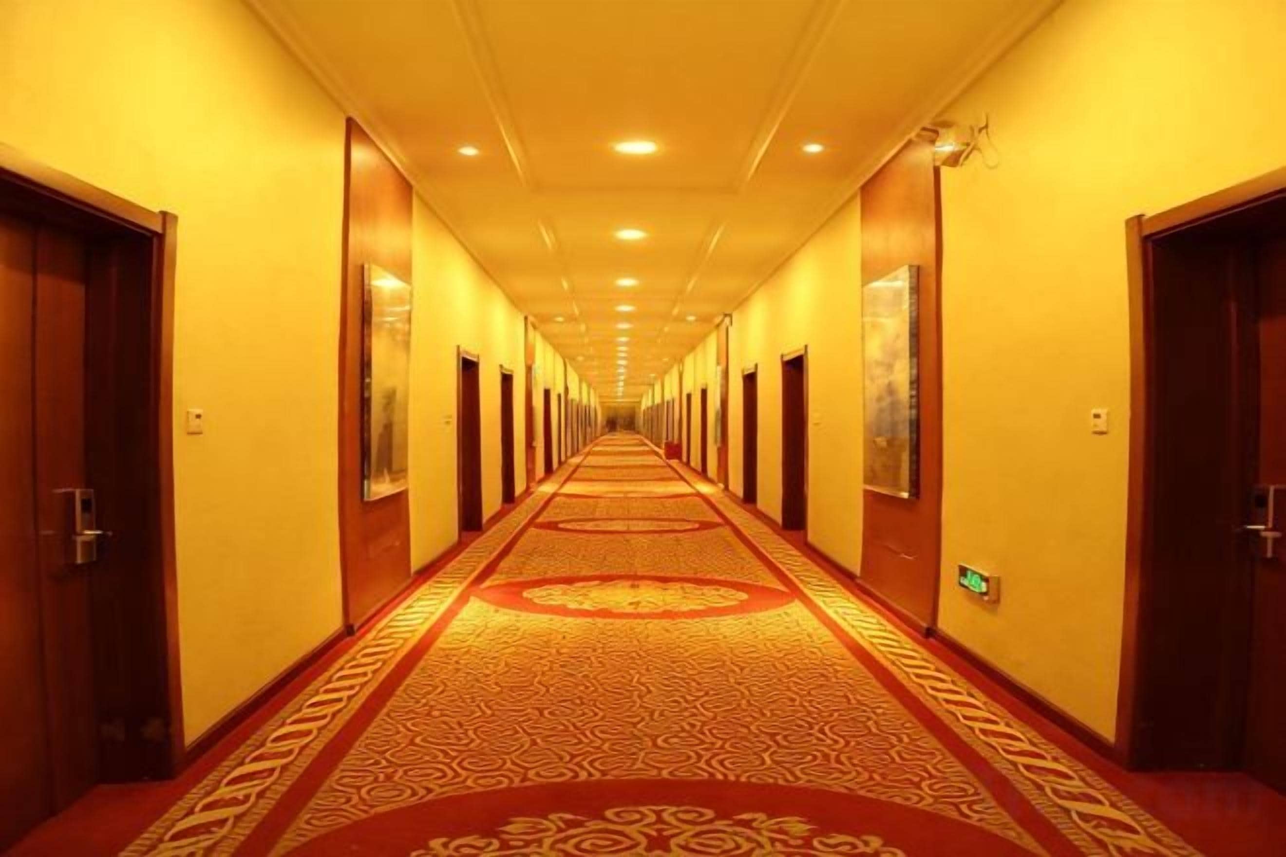 A hotel corridor with doors on both sides, a patterned carpet, and a long hallway.