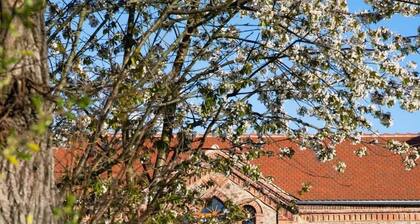 Maisonettewohnung mit Kaminofen, großer Terrasse, Faßsauna, 2-10 Personen