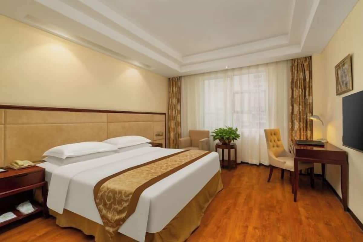 A hotel room with a large bed, a desk, a chair, a small table with a plant, and a television on the wall.