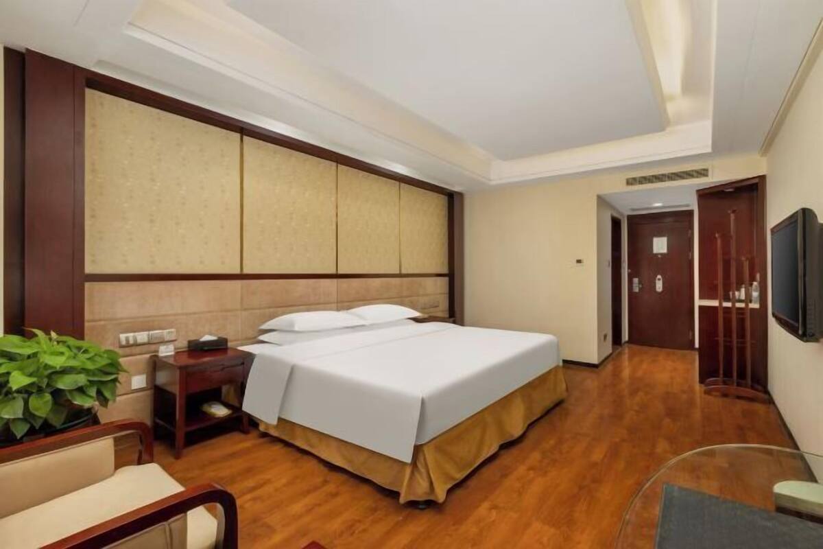 A hotel room with a large bed, a bedside table, a chair, a TV, and a plant.