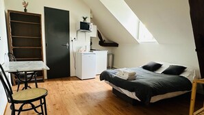 A compact bedroom with a bed, a desk, a chair, a small kitchenette, and a skylight.