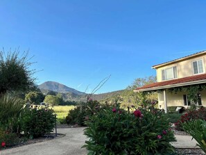 Property grounds - Beautifully remodeled studio with kitchenette in the Calistoga vineyards (Calistoga)
