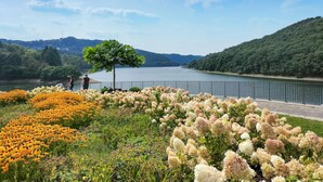 A riverside view with a bridge, a tree, and flower beds. - Lovely home in Sonlez with sauna (Sonlez)