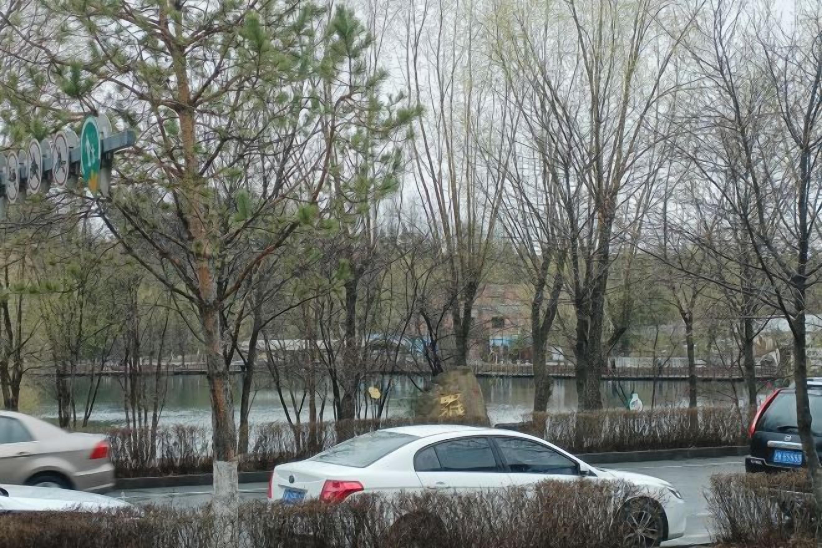 Een parkeerplaats met auto's, bomen en een waterpartij op de achtergrond.