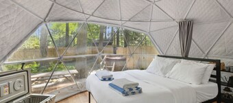 เฟิร์นเครสต์ ฟลินต์ ครีก