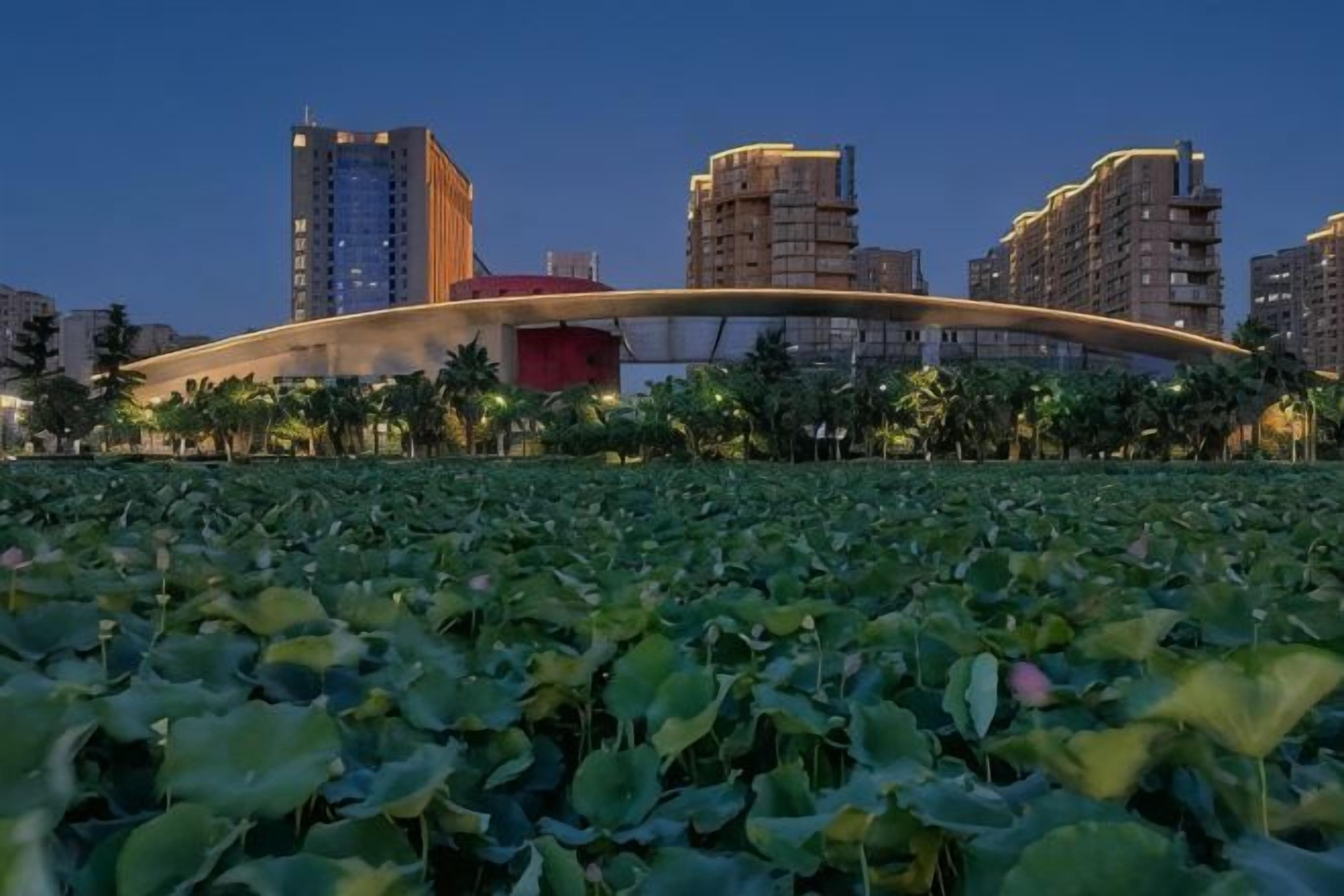 A cityscape with modern buildings and a curved bridge over a lotus pond.