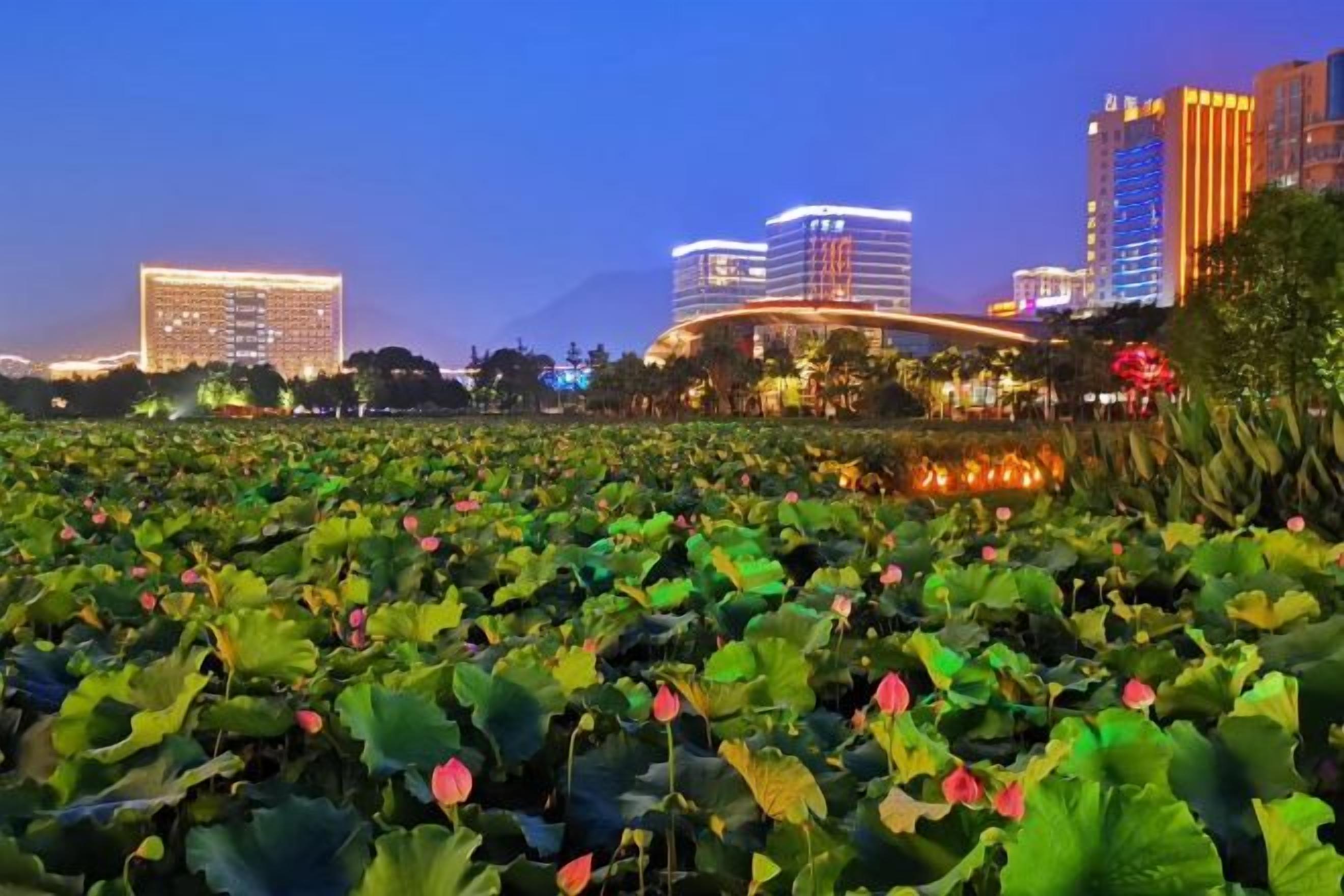 A hotel with a modern design, a large garden with lotus flowers, and a city skyline in the background.