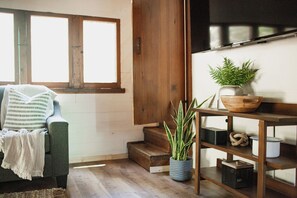 Smart TV, fireplace, books