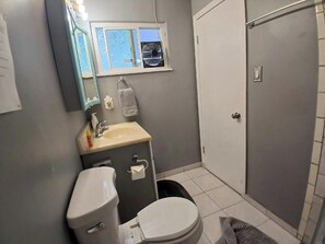 Hair dryer, towels, toilet paper