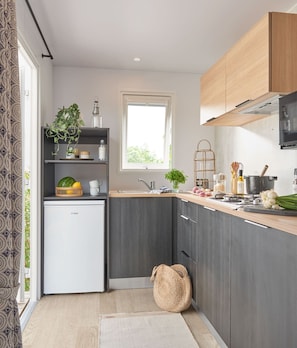 Fridge, microwave, stovetop, cookware/dishes/utensils