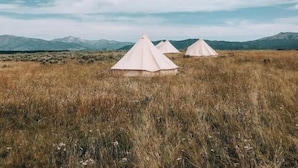 A landscape with three white tents in a grassy field, with mountains in the background. - Yellowstone Glamping (Island Park)