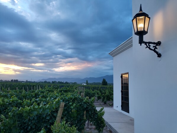 Property grounds - Habitacion Privada en Chacras de Coria (Luján de Cuyo)