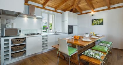 Villa Vial (Istria - KaĆĄtelir)
