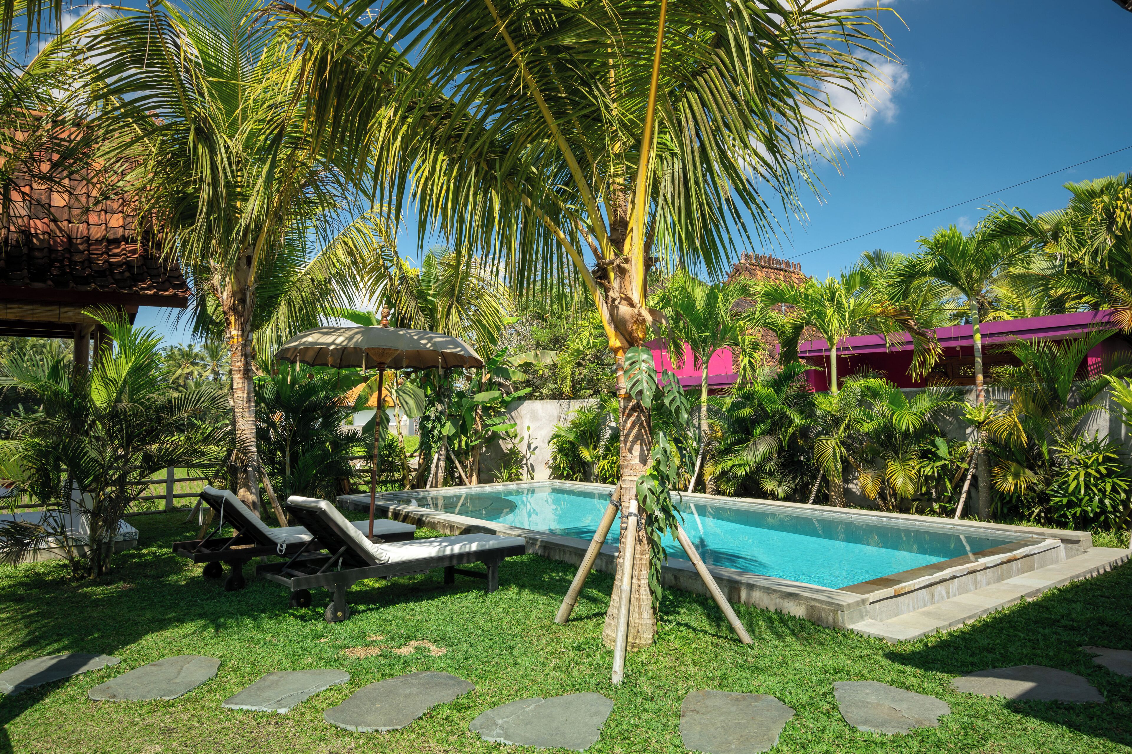 Une piscine entourée de palmiers et de chaises longues.