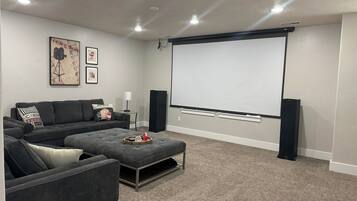 TV connectée, cheminée, lecteur de DVD, livres