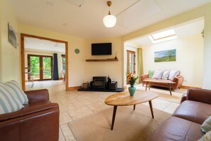 TV, fireplace - Dingle Holiday Let - New Town (Dingle)