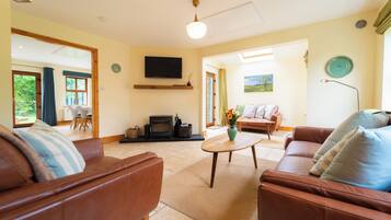 Télévision, cheminée