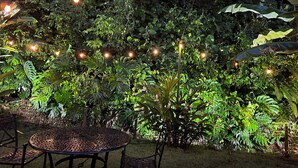 An outdoor garden area with a metal table and chairs, surrounded by lush greenery and string lights. - Charming 3-bedroom condo with pool, AC, WiFi in peaceful Herradura, pet friendly (Herradura)