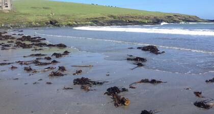 Secret Cottage by the Sea KilBrittain Co Cork