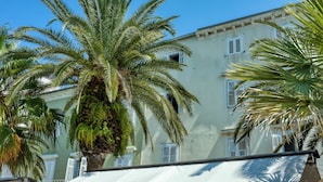 Un bâtiment avec des volets blancs et un palmier devant.