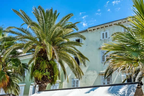 A building with multiple windows and a palm tree in front.