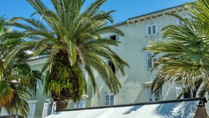 Ein Gebäude mit weißen Fensterläden und einer Palme davor.