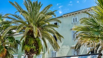 A building with multiple windows and a palm tree in front.
