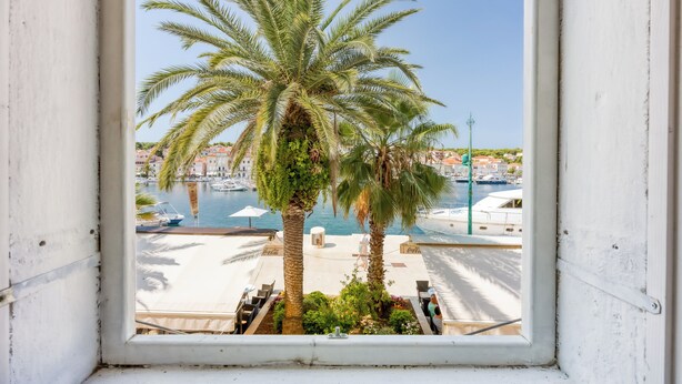 Blick durch ein Fenster auf einen Yachthafen mit Palmen und Booten.