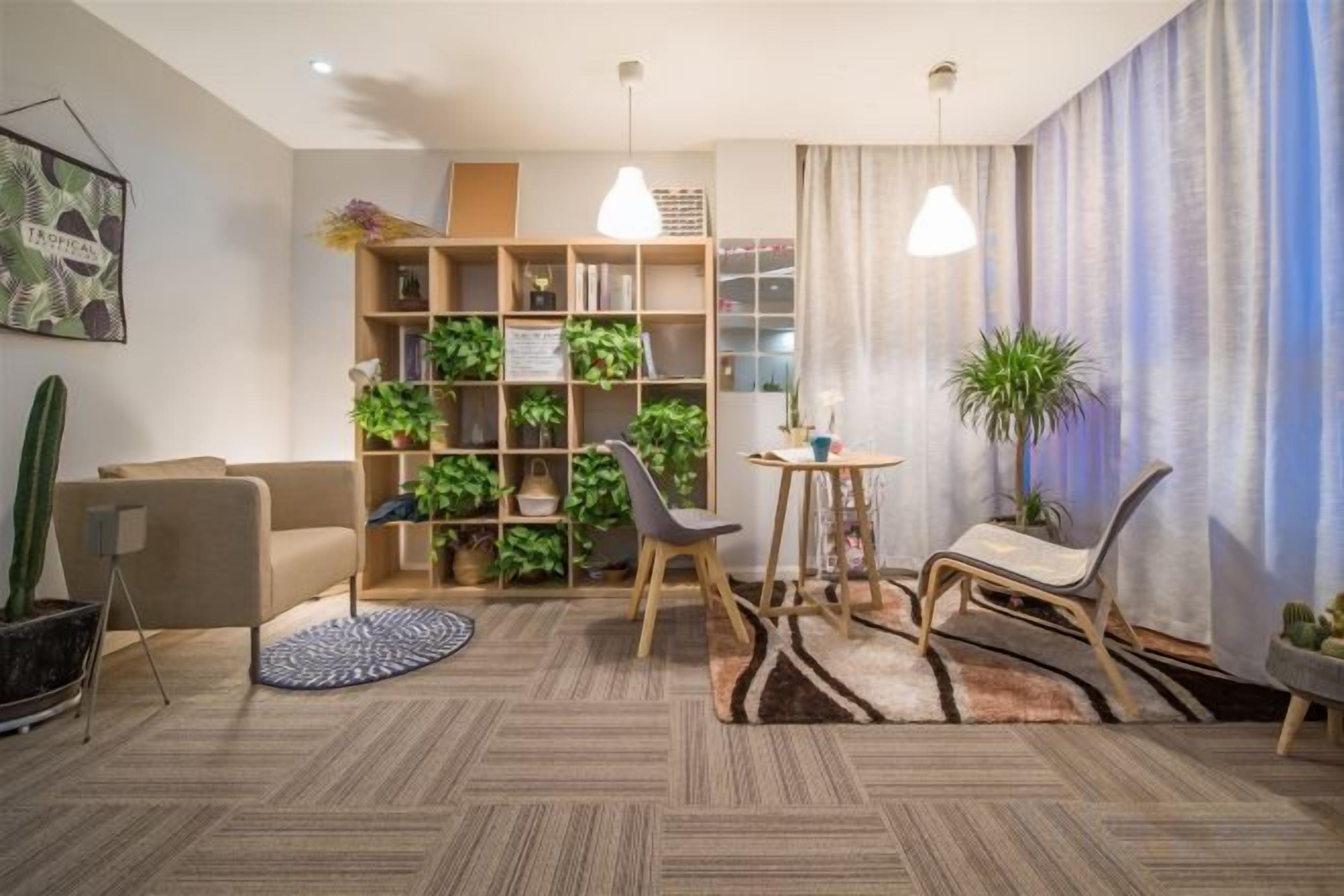A living room with a sofa, chairs, a coffee table, a bookshelf with plants, and a cactus.
