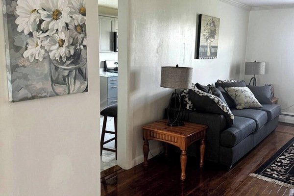 Älytelevisio, kirjoja