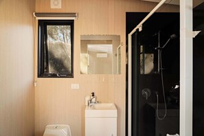 Shower, hair dryer, towels, shampoo