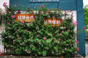 A wall with a climbing plant and two signs. - MILA HOTEL (Shanghai)