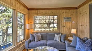 TV, fireplace, books