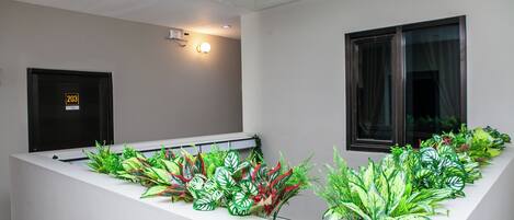 A modern hotel lobby with a reception desk, a door labeled '203', and a row of artificial plants.
