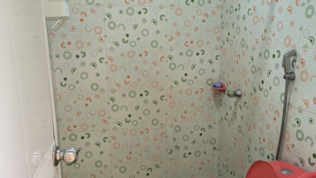 Shower, towels, toilet paper