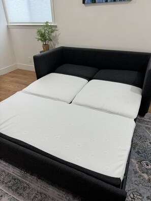 A room with a black sofa bed, a small potted plant, and a patterned rug. - Main Street Retreat in Roseville (Roseville)