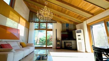 Gallery Penthouse | Living area | 66-inch LED TV with cable channels, Netflix, first-run movies